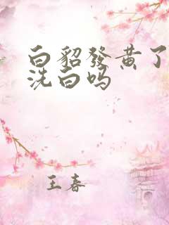 白貂发黄了还能洗白吗