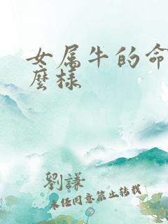 女属牛的命运怎么样