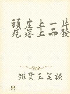 头皮上一片片小疙瘩上面发白