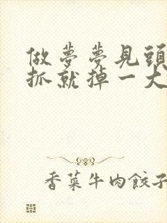 做梦梦见头发一抓就掉一大把