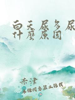 白天尿多尿频是什么原因