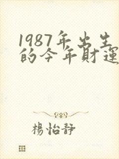 1987年出生的今年财运如何