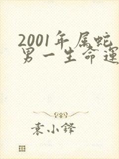 2001年属蛇男一生命运如何