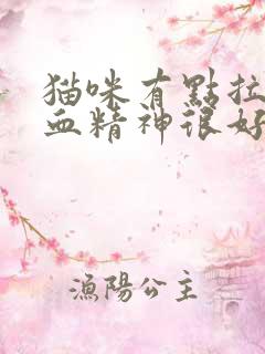 猫咪有点拉稀带血精神很好