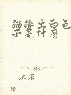 猫排出白色的虫子是什么