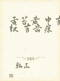 舌苔黄 中有裂纹 有齿痕