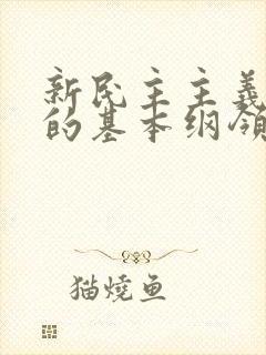 新民主主义革命的基本纲领是什么?