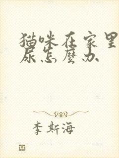 猫咪在家里乱拉尿怎么办