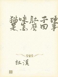 猫咪肚子硬硬的是怎么回事