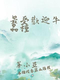 最受欢迎牛油果品种