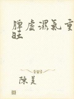 脾虚湿气重肝火旺