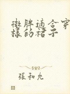 微胖适合穿什么样的裙子