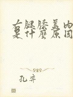 右腿膝盖内侧疼是什么原因