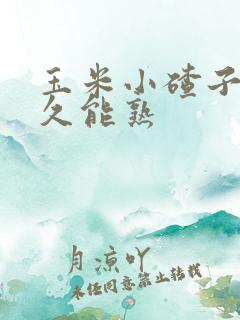 玉米小碴子煮多久能熟