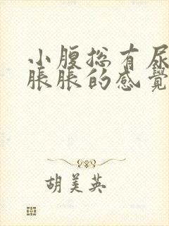 小腹总有尿意,胀胀的感觉