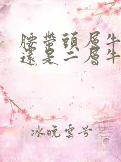 腰带头层牛皮好还是二层牛皮好