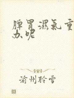 脾胃湿气重怎么办呢