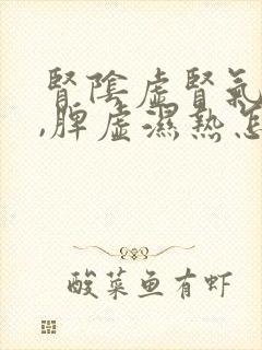 肾阴虚肾气不足,脾虚湿热怎么调理