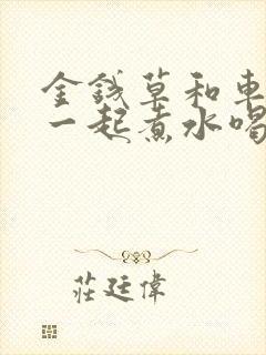 金钱草和车前草一起煮水喝功效?