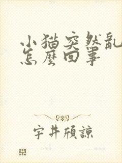 小猫突然乱尿是怎么回事