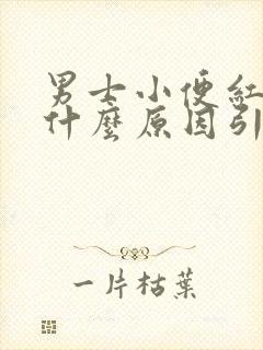 男士小便红色是什么原因引起的