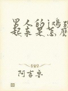 男人的j鸡硬不起来是怎么回事