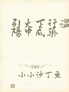 引火下行温补肾阳中成药