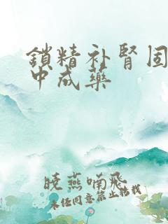 锁精补肾固阳的中成药