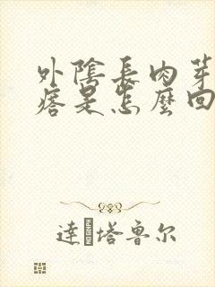 外阴长肉芽状疙瘩是怎么回事