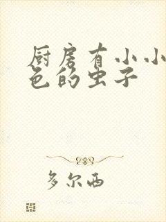 厨房有小小的白色的虫子