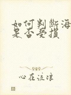 如何判断海绵体是否受损