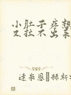 小肚子疼想大便又拉不出来怎么回事