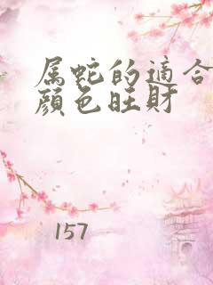 属蛇的适合什么颜色旺财