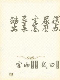 猫导完尿还尿不出来怎么办