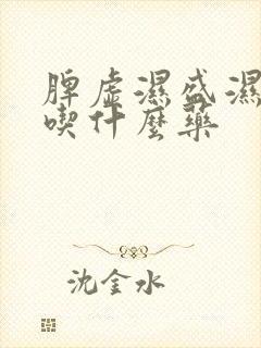 脾虚湿盛湿气重吃什么药