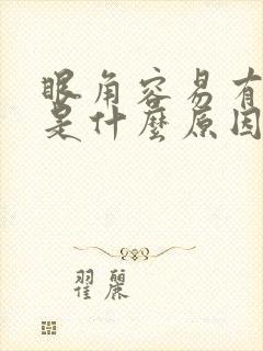 眼角容易有眼屎是什么原因