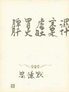 脾胃虚寒湿气重肝火旺是什么症状