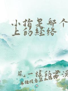 小指是哪个经络上的经络