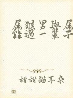 属猴男与属蛇女能过一辈子吗