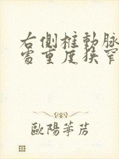 右侧椎动脉起始处重度狭窄