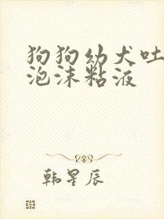 狗狗幼犬吐白色泡沫粘液