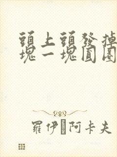 头上头发掉的一块一块圆圈怎么回事