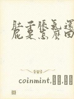 肚子胀气还爱放屁是怎么回事