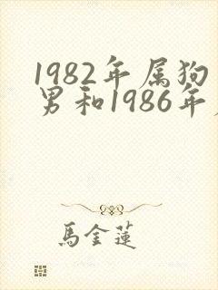 1982年属狗男和1986年属虎女配吗