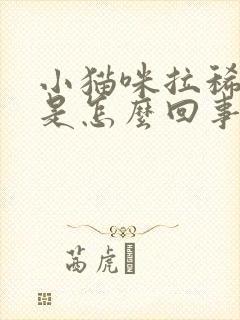 小猫咪拉稀带血是怎么回事