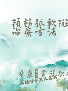 颈动脉软斑块的治疗方法