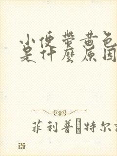 小便带黄色液体是什么原因