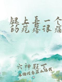 腿上长一个红色的疙瘩很痛