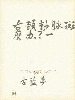 右颈动脉斑块怎么办?一