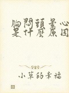 胸闷头晕心发慌是什么原因引起的